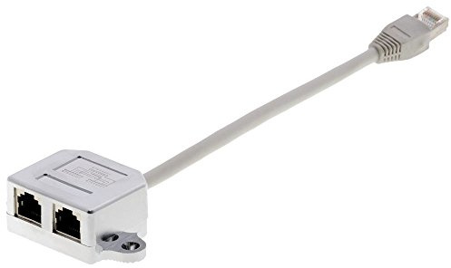 Delock RJ45 Port Doppler 1 x RJ45 Stecker > 2 x RJ45 Buchsen (1 x Ethernet, 1 x ISDN)