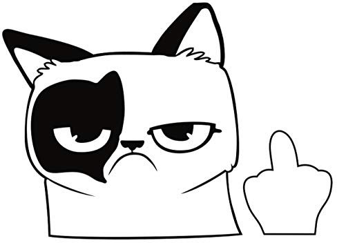 Spaß Kostet wetterfester Aufkleber Grumpy Cat