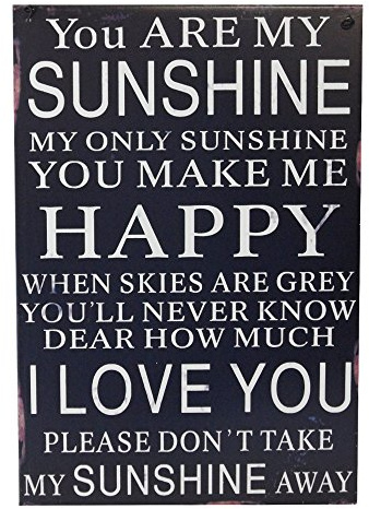 Wandtafel aus Metall mit englischsprachiger Liebeserklärung, Motiv You Are My Sunshine, 30 x 20 cm