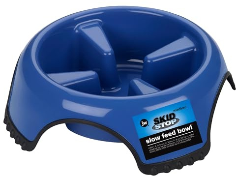 Jw Pet Skidstop Slow Feed Pet Bowl Large(Color May Vary)