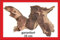 SAHAWA® Mopani- Wurzel, garantiert 35cm, Aquarium, Terrarium
