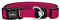 DDOXX Airmesh Hundehalsband - Stabiles und Verstellbares Welpenhalsband für alle Größen - M (Pink)
