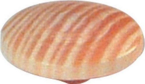 Solid wood cover cap, Press fit into screw, ash , screw covers pack of 4