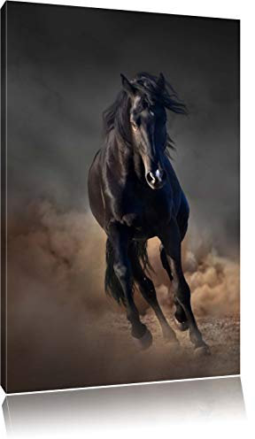 Pixxprint Elegantes schwarzes Pferd Schwarz, B&W, Größe: 80x60cm, Leinwandbild, fertig gespannt, Wandbild, Dekoration, Kunstdruck, kein Poster