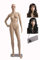 EurohanDisplay SF-9 Schaufensterpuppe mit 2 Perücken gratis weibliche Schaufenterfigur Mannequin Kopf und Arme beweglich