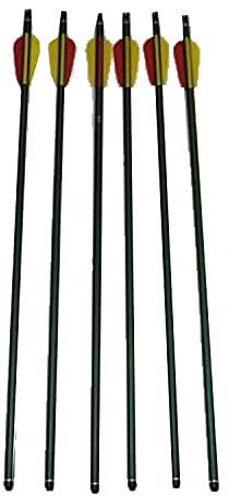 12x Pfeile 30 Zoll für Compound / Recurve Bogen - Aluminium