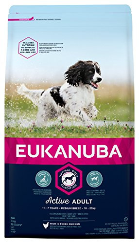 Eukanuba Premium Hundefutter für mittelgroße Hunde, Trockenfutter mit Huhn (1 x 3 kg)