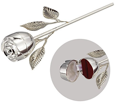 Leeber Limited USA Elegance Rose Ring Halter mit Lang Stiel Silber