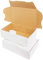 verpacking Maxibriefkartons 160 x 110 x 50 mm Maxibrief MB-1 Weiß Versand Post Faltschachtel DIN A6 (Innenmaß 150 x 105 x 46 mm) Versandschachtel Büchersendung (100 Stück)