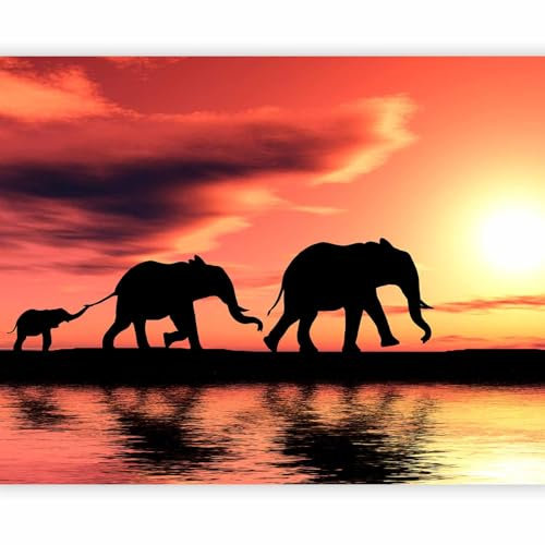 murando - Papier peint panoramique moderne 300x231 cm - Revêtement mural décoration pour chambre salon - Design moderne - Beige noir rouge - Nature éléphants coucher de soleil animaux 100403-88