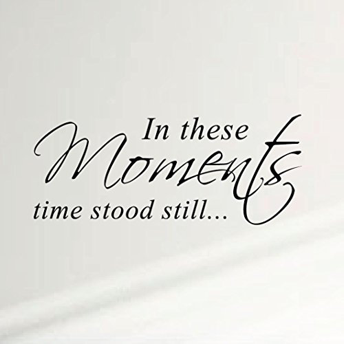 In These Moments Time Stood Still Home Wall Decal Sticker Family Quote Art #1292 (28 Wide X 11.5 High) (Matte Black) by Innovative Stencils