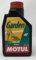 Motul 102787 Motoröl Garden 4T SAE 30, 1 L