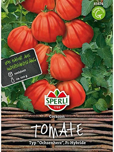 Tomate - Corazon F1 Hybride