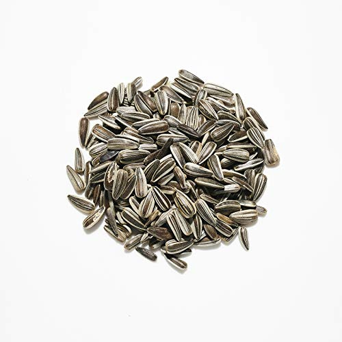 Willsbridge Small Striped Sunflower Seed Bird Food