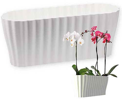 Plastia Orchideenkasten Triola, weiß