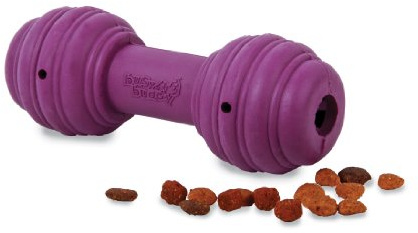 PetSafe Busy Buddy Hundespielzeug Chuckle, befüllbarer Snackball, Zahnpflege für Hunde, animierendes Geräusch