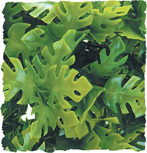 Zoo Med BU-31 Amazonian Phyllo, Large