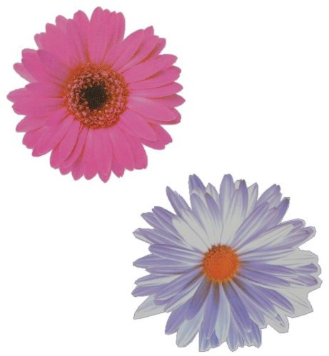 alles-meine.de GmbH 2 TLG. Set Sticker/Wandtattoo/Wandsticker - Margerite Blumen weiß Chrysantheme Blume Blüte Gerbera Aufkleber/Wandaufkleber/Fenstersticker - Blumenmust..