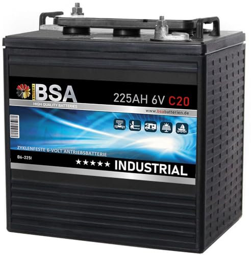 Unbekannt 6V 225Ah Batterie Traktion Antrieb Stapler Hubwagen Hebebühne Elektoauto Batterie
