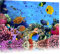 Pixxprint Bunte Fische über Korallenriff, Größe: 60x40cm, Leinwandbild, fertig gespannt, Wandbild, Dekoration, Kunstdruck, kein Poster