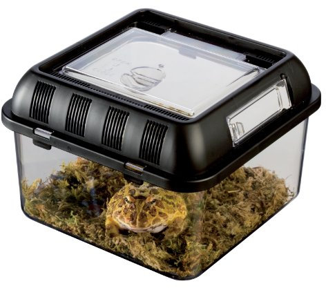 Exo Terra Breeding Box, Brutbox, stapelbares Zuchtterrarium, S, 20,5 x 20,5 x 15cm