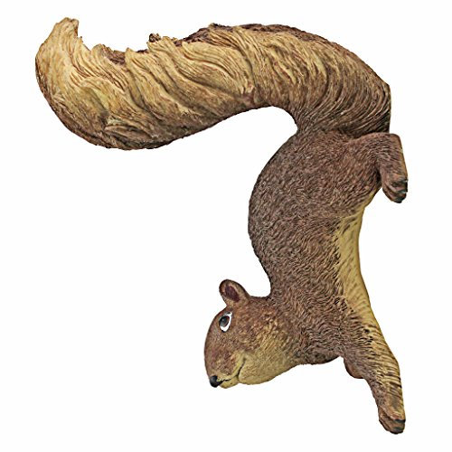Design Toscano Simone, das Eichhörnchen, Hängende Skulptur, 12,5 x 7,5 x 20,5 cm