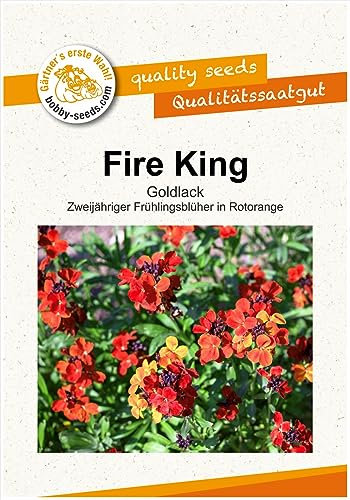 Blumensamen Fire King Goldlack Portion