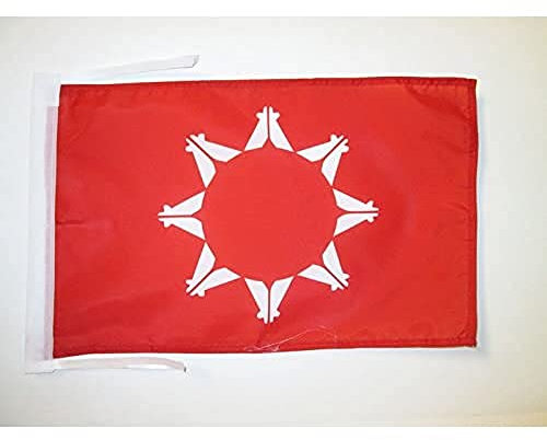 AZ FLAG - Flagge Republic Of Lakotah - 45x30 cm Mit Kordel - American Indian Movement Fahne 30 x 45 Cm - Flaggen