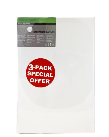 Daler-Rowney Simply Stretched Canvas, Medium Grain, 250 gsm, 16mm Deep, 20 x 24in - 50 x 60 cm, White, 3 Pack