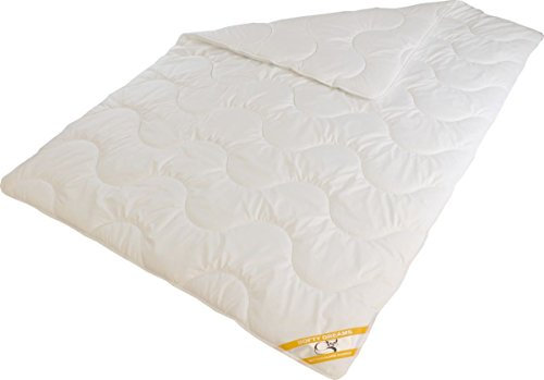 Softy Dreams Duo Bettdecke Winterdecke Microfaser warmes Winterbett (135x200)
