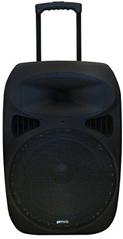 Enceinte sur roulettes et 2 micros Gr A2