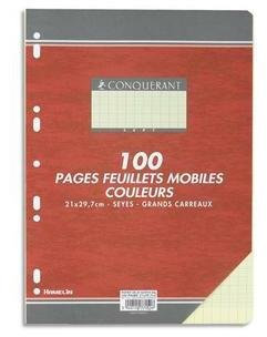 CONQUÉRANT Lot de 10 Feuillets mobiles 21x29,7 cm 100 pages grands carreaux jaunes 80g