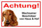 Melis-Folienwerkstatt Schild Warnschild Dackel Vorsicht freilaufender Hund – Achtung – Wachsamer Beschützer – 20x30cm – S24D