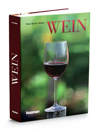 Xcase Buchtresor, getarnt, groß