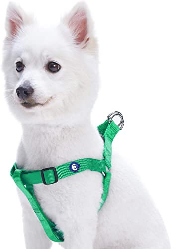 Blueberry Pet Step-In Geschirre Klassisch Einfarbig Hundegeschirr mit Zugentlastung Verstellbar Langlebig - Smaragdgrün Nylon 42-54cm Brust, Passender Hundehalsband & Hundeleinen erhältlich Separate