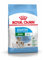 Royal Canin Hundefutter Mini Starter 3 kg, 1er Pack (1 x 3 kg)