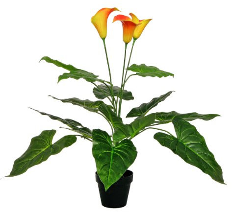 McPalms Calla Lily Kunstblume Kunstpflanze ca 65 cm hoch Inclusive Topf