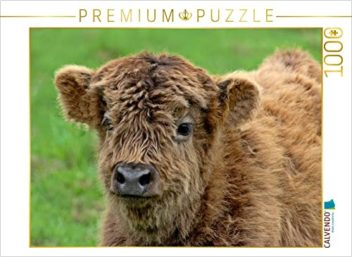 CALVENDO Puzzle Schottisches Hochlandkalb | 1000 Teile Lege-Größe 64 x 48 cm Foto-Puzzle für glückliche Stunden