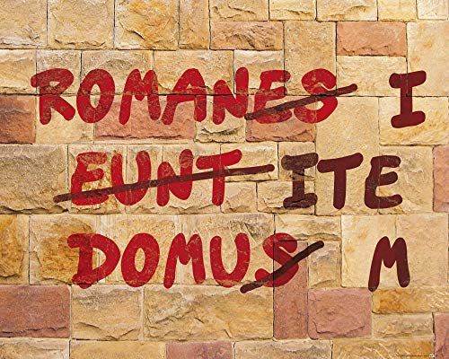 1art1 Das Leben des Brian Poster Römische Mauer, Romani ITE Domum Kunstdruck Bild 50x40 cm