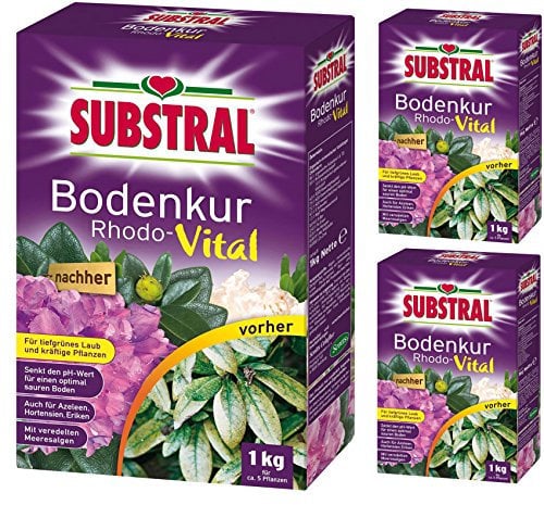 3 x 1 kg Substral Rhodo-Vital Bodenkur, NPK-Dünger 5-4-7,5