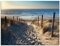 ARTland Wanddeko Glasbilder Wandbild Glas Bild einteilig 60x45 cm Querformat Strand Meer Küste Nordsee Natur Landschaft Sommer Dünen Sand Gräser T9IP