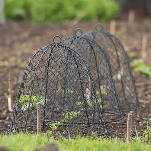Crocus Collection 33cm Wire Cloche Plant Protector Cover Black Metal Garden Cloche Dome for Plants Animal Protection