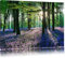 ps-art TOPSELLER Wandbilder (Lavendel im Wald 120x80cm) Ruhe Stille Harmonie Bilder fertig gerahmt auf Keilrahmen xxl. Kunstdruck auf Leinwand. Günstig inkl Rahmung
