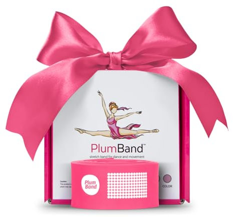 PlumBand - Ballett Stretch Band Für Tanz & Gymnastik - Fitnessband Für Training Und Steigerung Der Flexibilität - Erwachsene Und Kinder - Bonus Reisetasche – Rosa - Klein