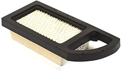 Briggs & Stratton Genuine Air Filter A/C Cartridge 794421