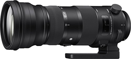 Sigma Objectif 150-600mm F5-6.3 DG OS HSM Sports pour Nikon