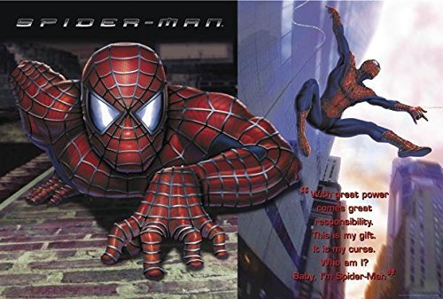Close Up Spider-Man Poster (68,5cm x 101,5cm)