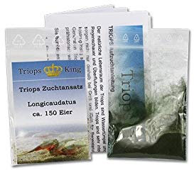 Triops Longicaudatus Urzeitkrebse Starter Set mit ca. 150 Urzeitkrebs-Eiern / Zysten von Triops King aus Deutschland, Anleitung zur Zucht und Jungtier-Futter - Züchte deine eigenen Urzeitkrebse bei dir zu Hause im Aquarium