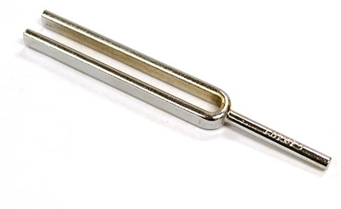 Eisco Labs Economy Steel Tuning Forks for Physics, 384Hz (+/- 5%)