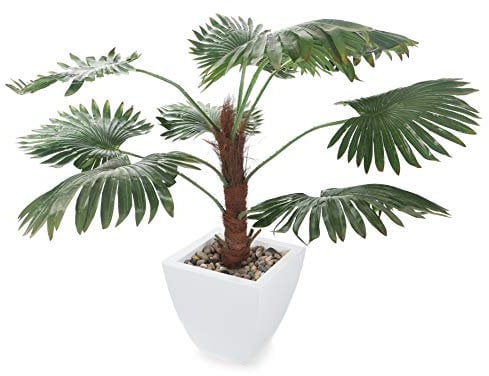 Closer2Nature 3ft 6ft Artificial Plant Fan Palm Tree; Green Indoor Plant for Home Decor - Realistic Artificial Plants Palm Tree; Perfect Outdoor Plants or Indoor Plant for Kitchen, Lounge and Office